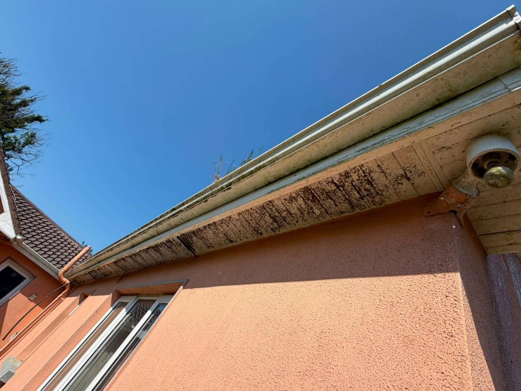 before fascia clean